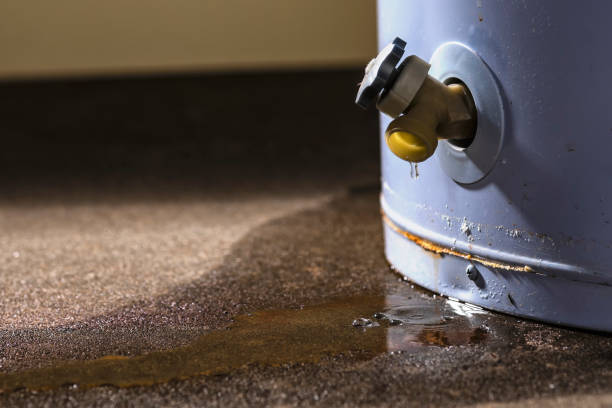 Best Residential water damage restoration  in Two Rivers, WI