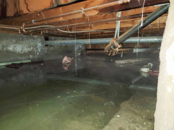 Best Residential water damage restoration  in Two Rivers, WI