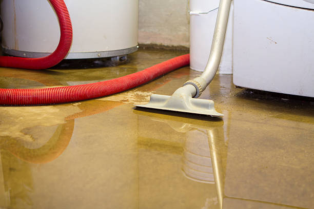 Best Water damage restoration services  in Two Rivers, WI
