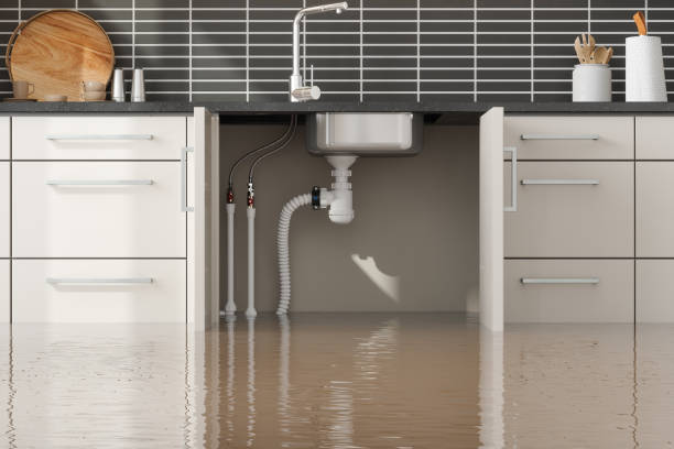 Best Water damage restoration near me  in Two Rivers, WI