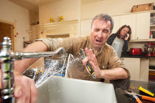 Best Professional water damage repair  in Two Rivers, WI